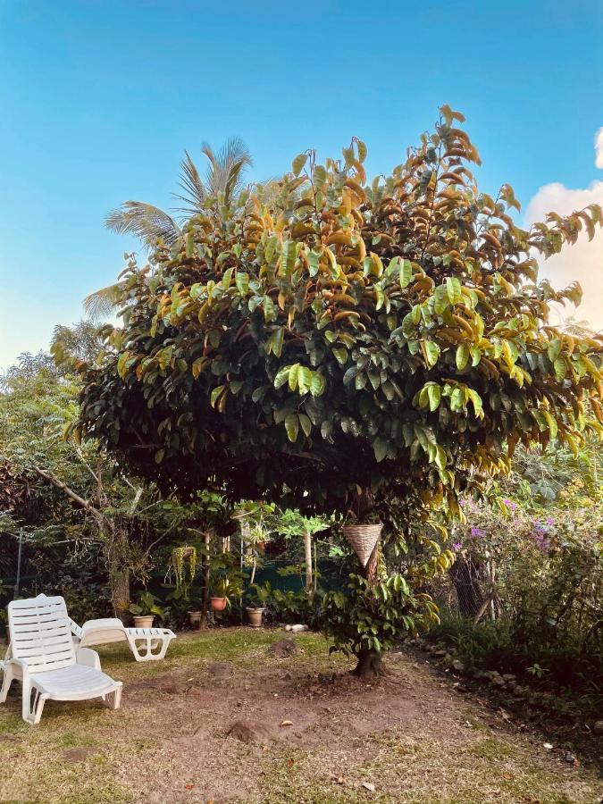 Residence Sucrerie Motel - Les Anses-D'Arlets - Martinique Екстер'єр фото