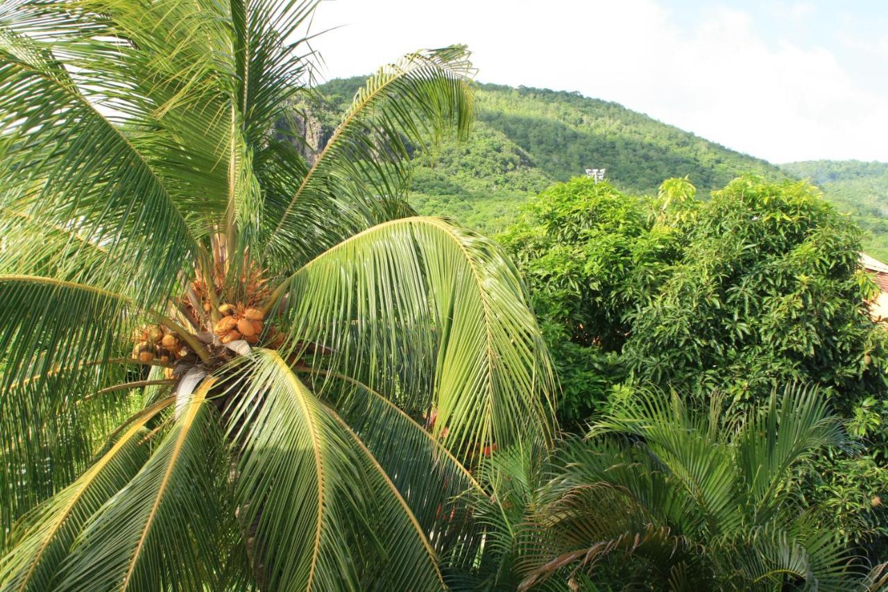 Residence Sucrerie Motel - Les Anses-D'Arlets - Martinique Екстер'єр фото